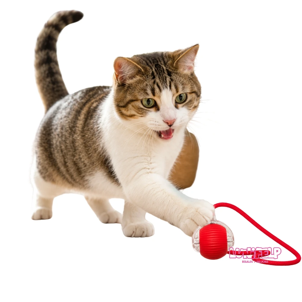 Pelota Interactiva con Vibración y Cuerda para Gatos - Imagen 2