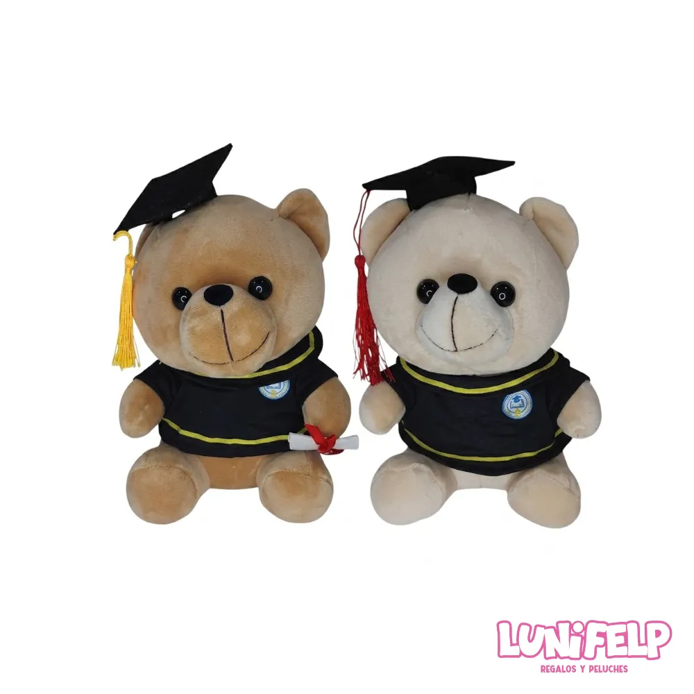 Oso de Peluche Graduado - Regalo Especial de Graduación 22 cm