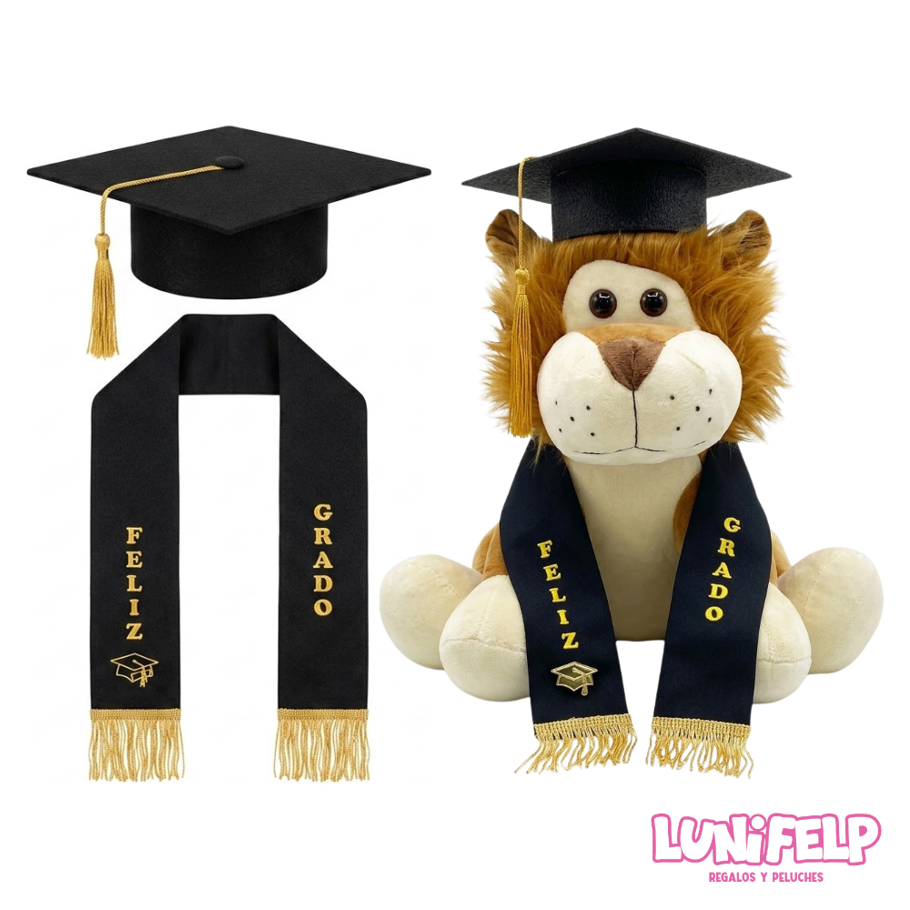 Kit de Graduación para Peluches Grandes - Imagen 2