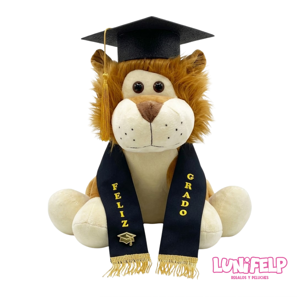 Kit de Graduación para Peluches Grandes - Imagen 3