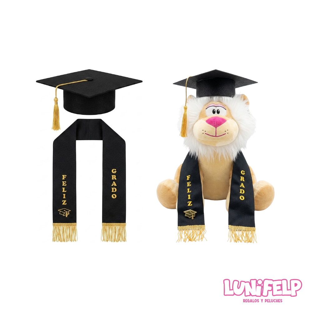 Kit de Graduación para Peluches | Birrete 12x12 cm y Estola 53 cm - Imagen 4